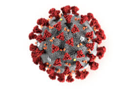 Read more about the article Coronavirus Response