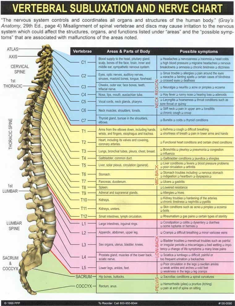 Chiropractic Scam Strategies Omaha Chiropractor